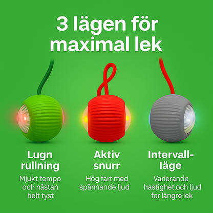 PlayBuddy – Smart, självgående och blev årets djurleksak 2024