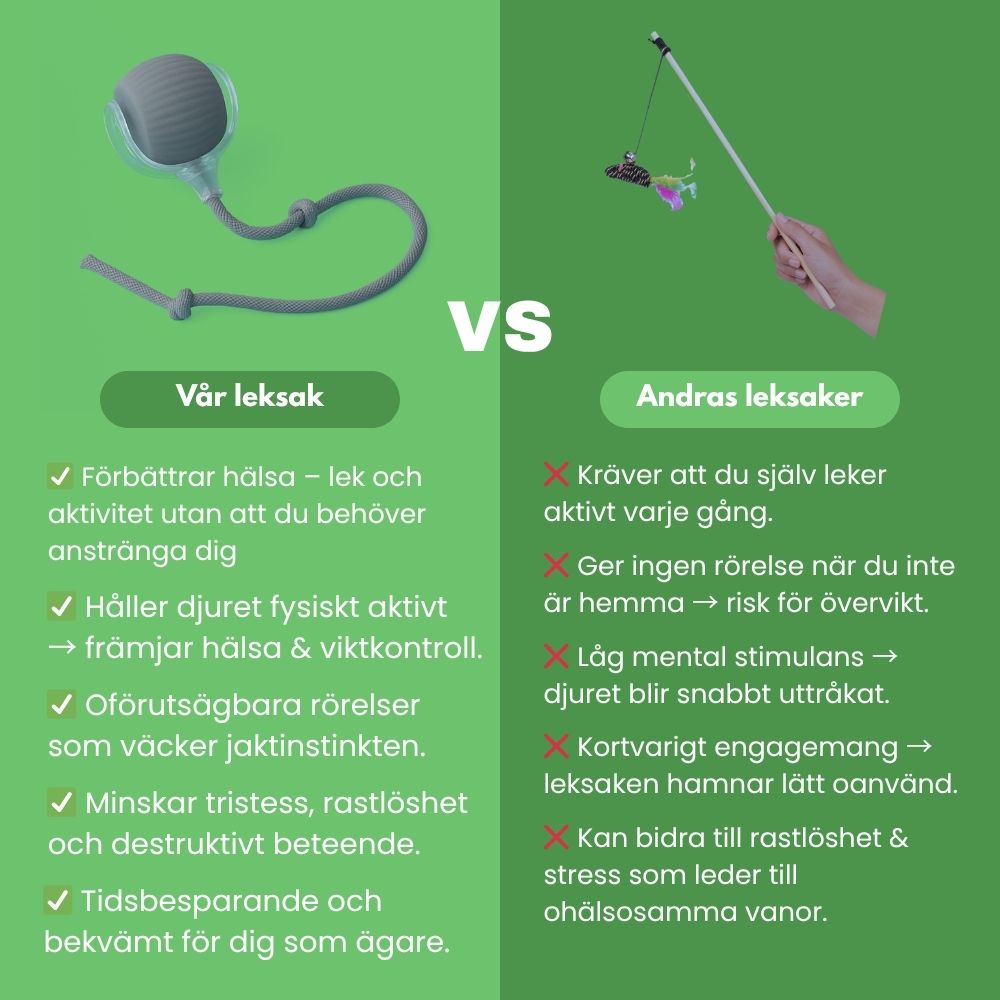 PlayBuddy – Smart, självgående och blev årets djurleksak 2024