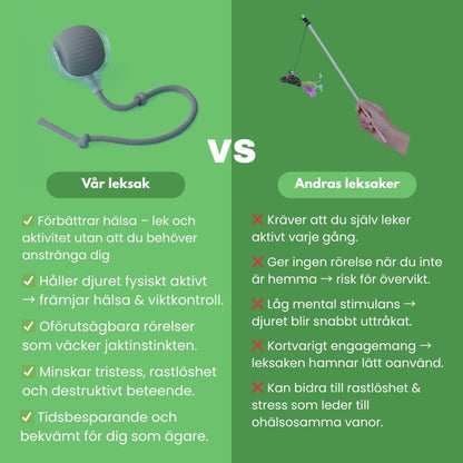 PlayBuddy – Smart, självgående och blev årets djurleksak 2024