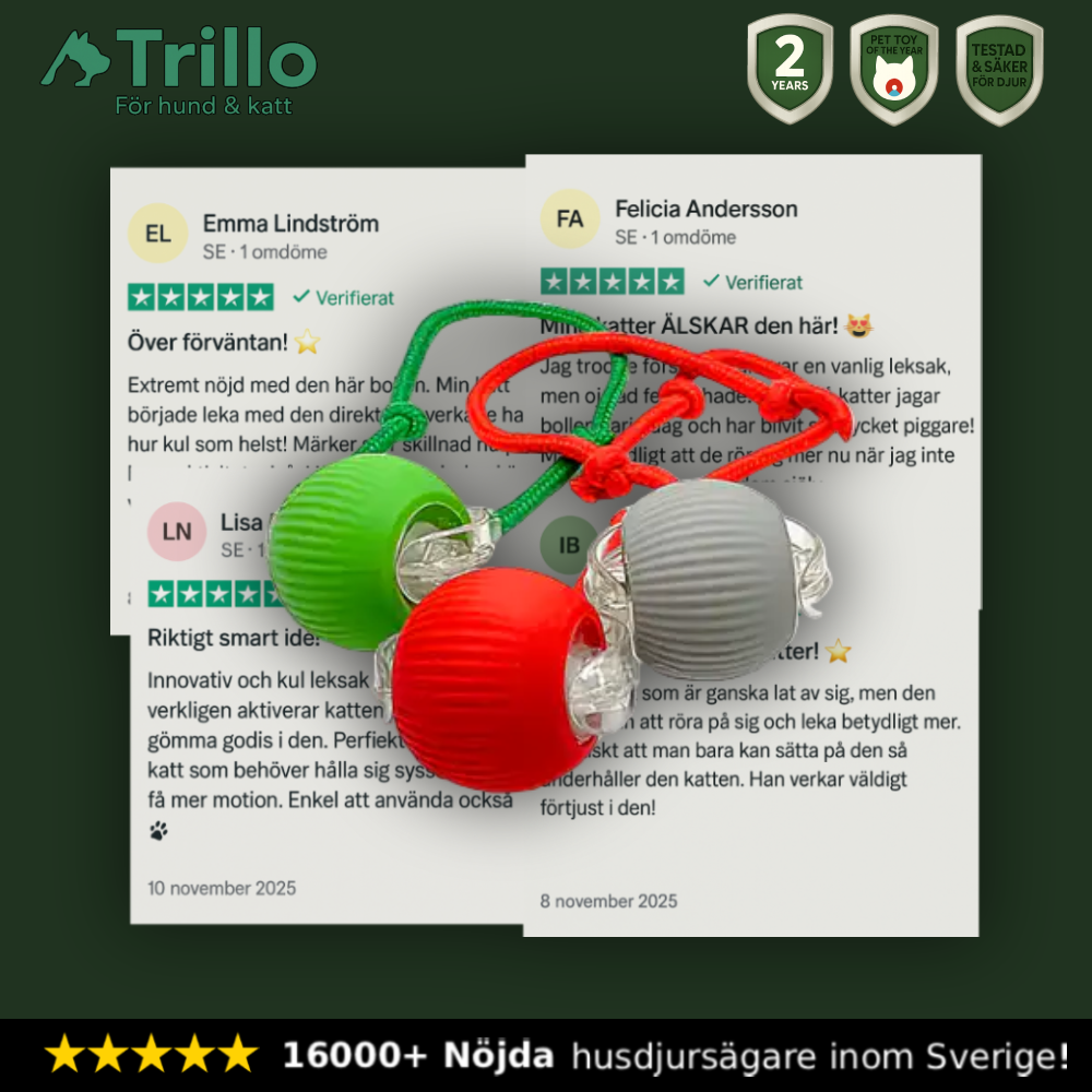 PlayBuddy – Smart, självgående och blev årets djurleksak 2024