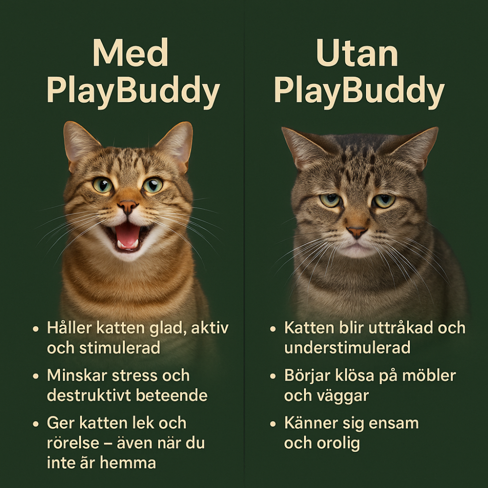 PlayBuddy – Smart, självgående och blev årets djurleksak 2024