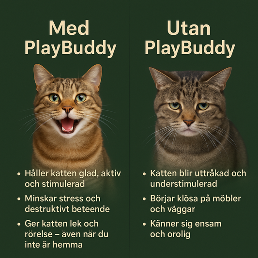 PlayBuddy – Smart, självgående och blev årets djurleksak 2024